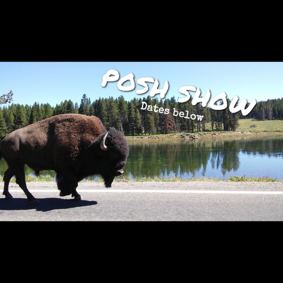 Flyer - Picture 4 of 6